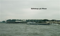 S&auml;llskap p&aring; Rhen